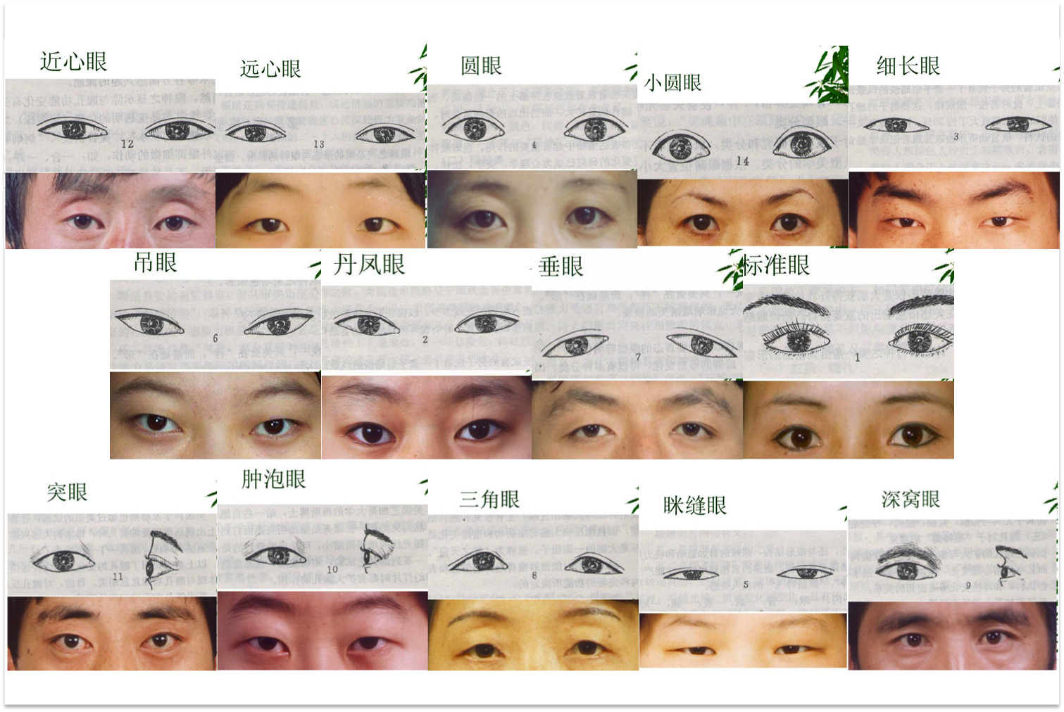 Asian Eye Types 118